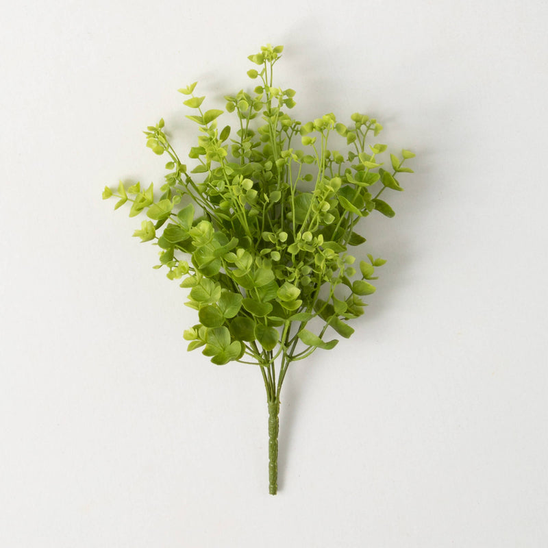 Eucalyptus Mini Bud Bush