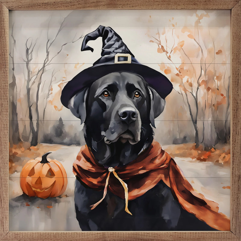 12x12 Halloween Black Lab Framed Art