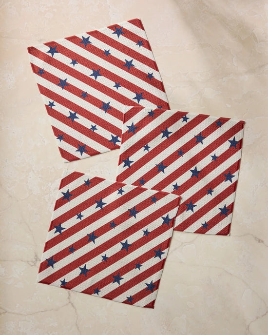 Geometry Dishcloth Set - Patriotic Stripe