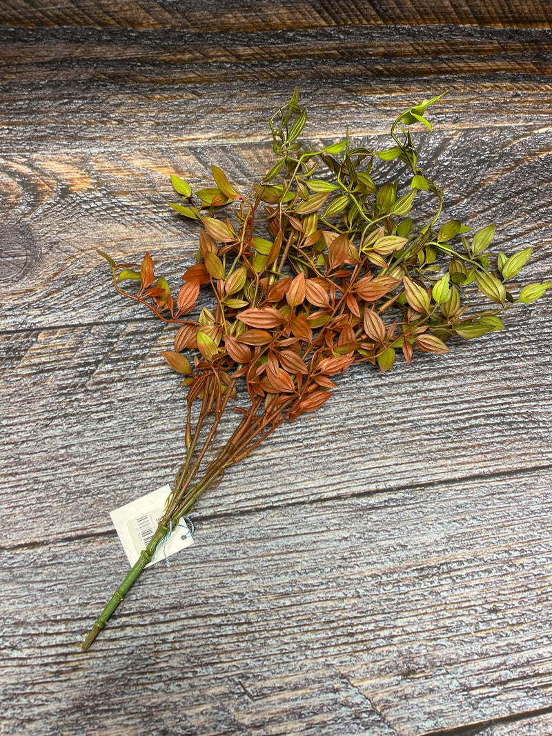 Green/Brown Leaf Bush