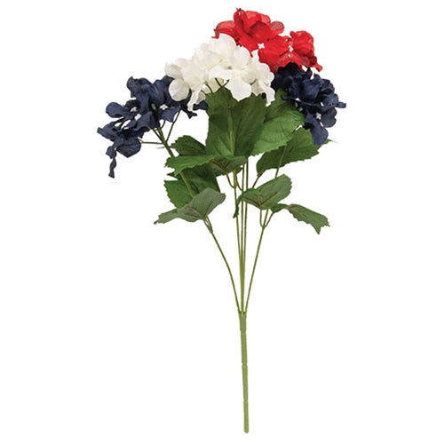 Americana Hydrangea Bush