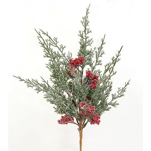 Graceful Cedar Berry Bush, 19"