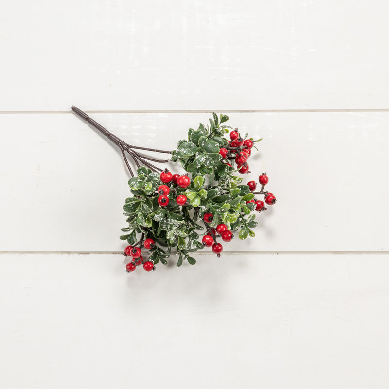 Frosted Boxwood & Red Berry Pick