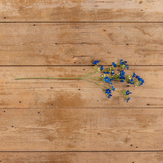 25.5" BLUE WINTER DAPHNE SPRAY