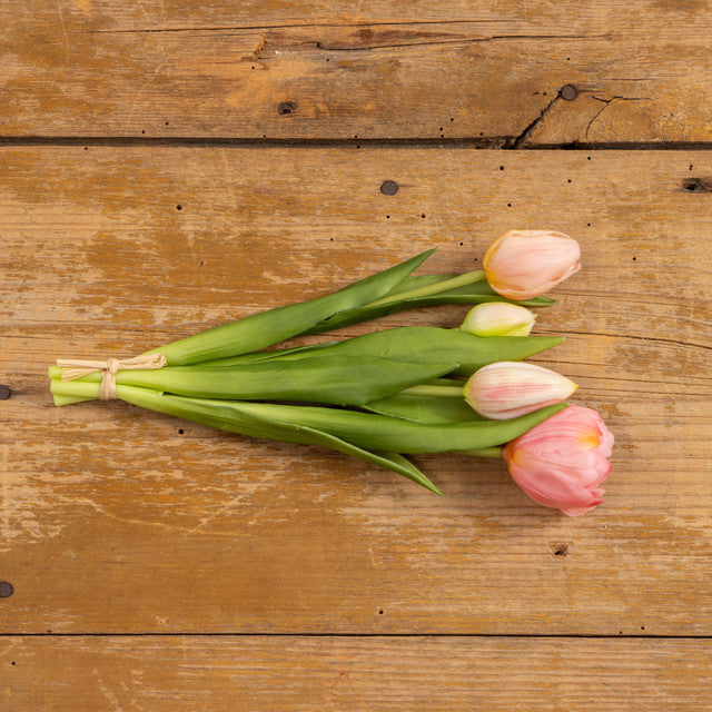 9.5" PALE PINK TULIP BUSH