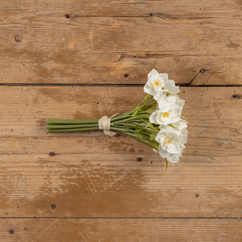 9.5" WHITE DAFFODIL BUNDLE