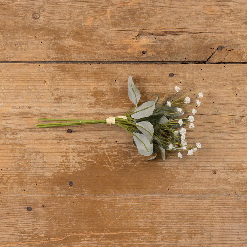 11.5" CREAM MINI STAR BUNDLE