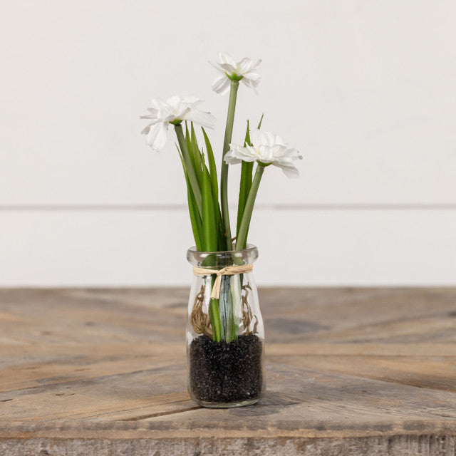 8.25" POTTED WHITE DAISY