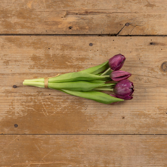 9.5" DARK PURPLE TULIP BUSH