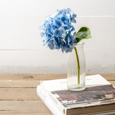 Blue Hydrangea Stem