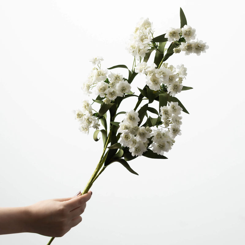 Cream Cherry Blossom Stem