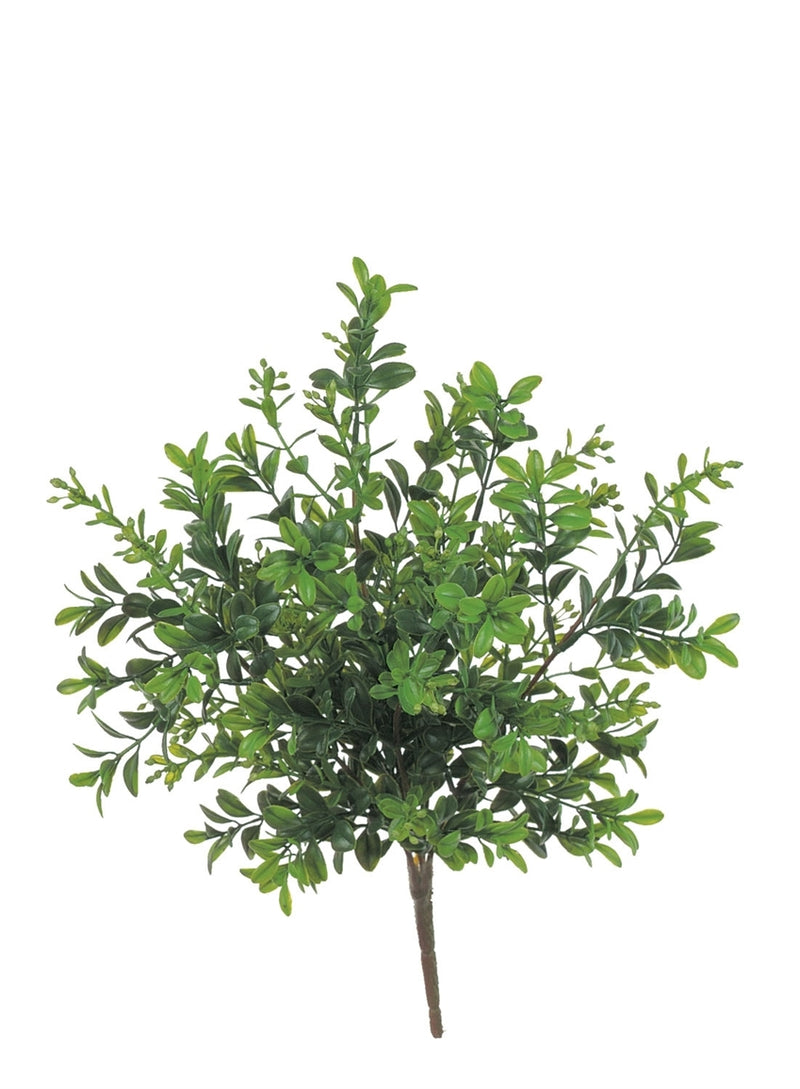 Boxwood Pick