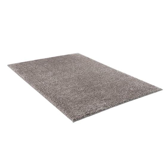 108-Camdyn Super Soft Polyester Shag Area Rug 5x7'