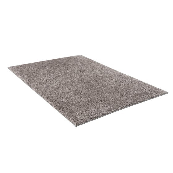 101-Camdyn Super Soft Polyester Shag Area Rug 4x6'