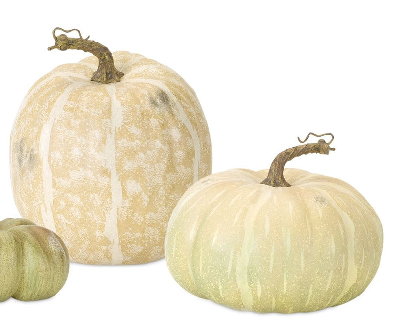 Foam Pumpkin - Cream