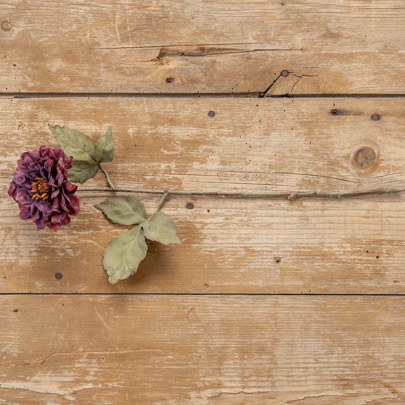 16" DRIED PURPLE WILD ROSE SPRAY