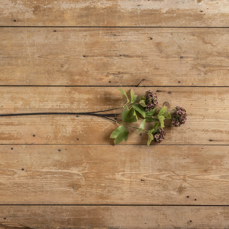 28" PURPLE SWEET WILLIAM STEM