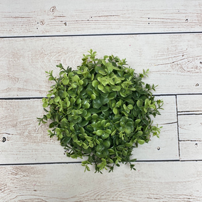 7" Boxwood Half Ball