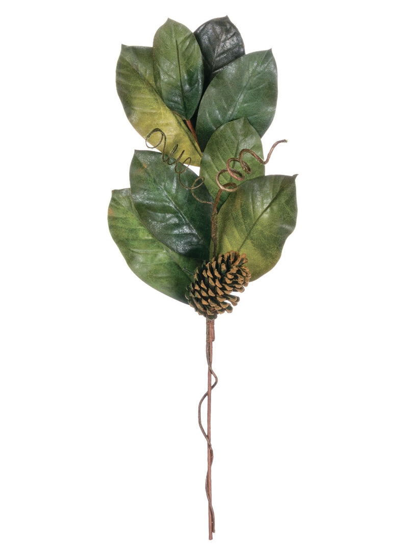 26" Magnolia Leaf Pinecone Spray