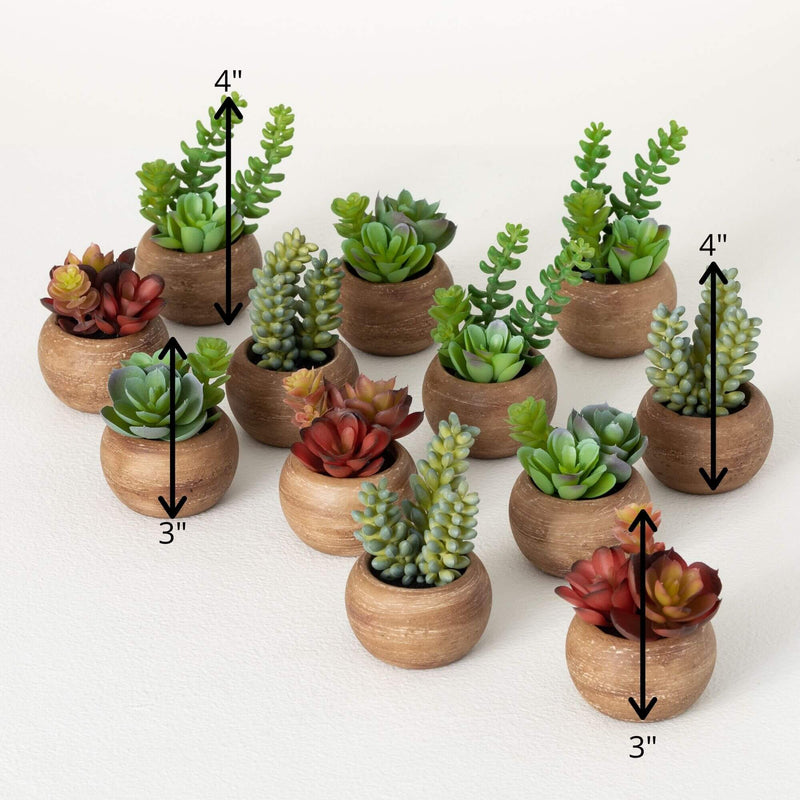 Mini Potted Succulent