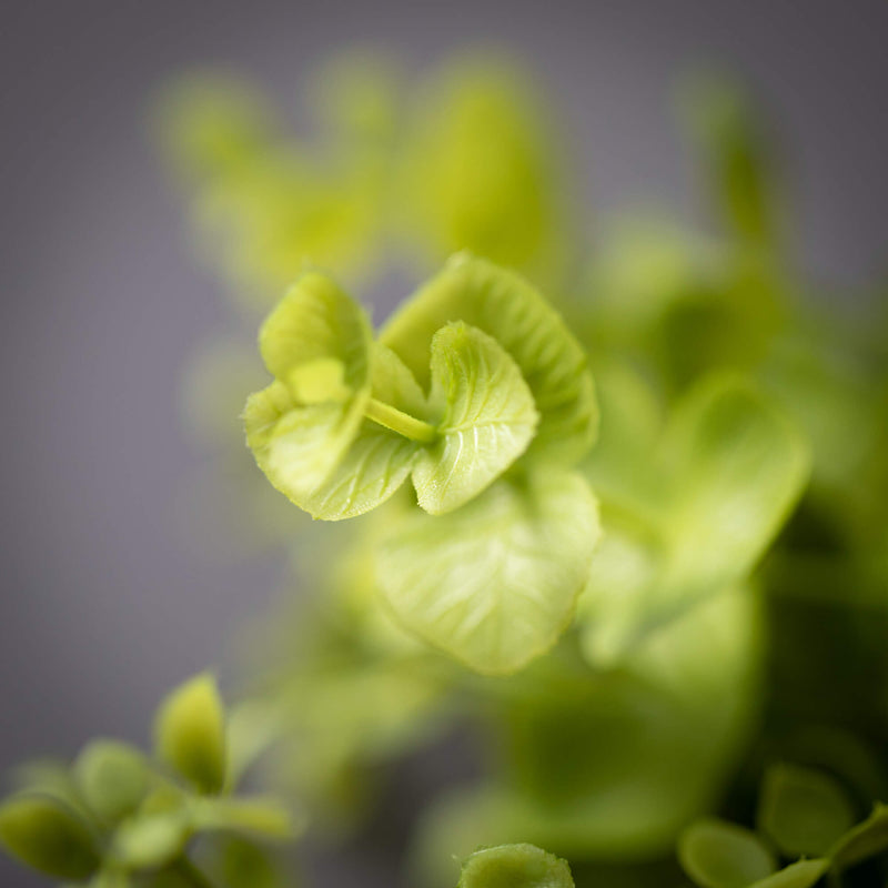 Eucalyptus / Baby's Breath Pick