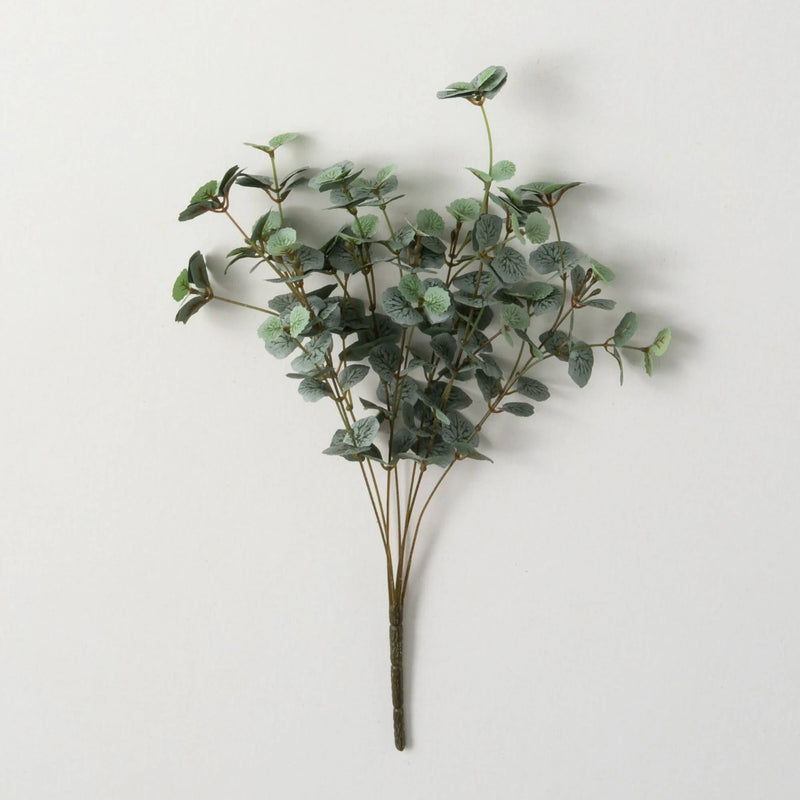 Mini Begonia Bush