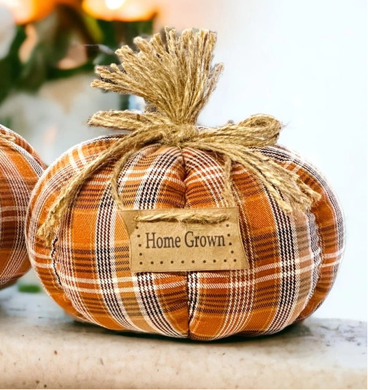 Orange Plaid Home Grown Pumpkin