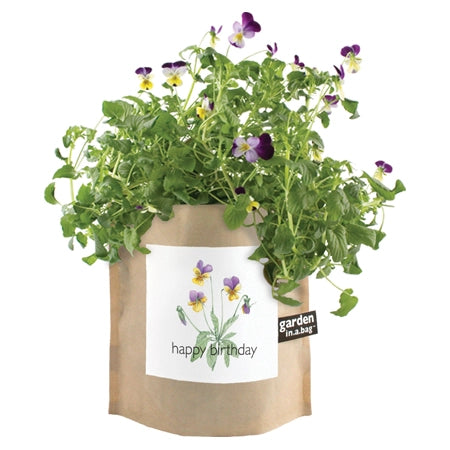 Garden in a Bag - Happy Birthday