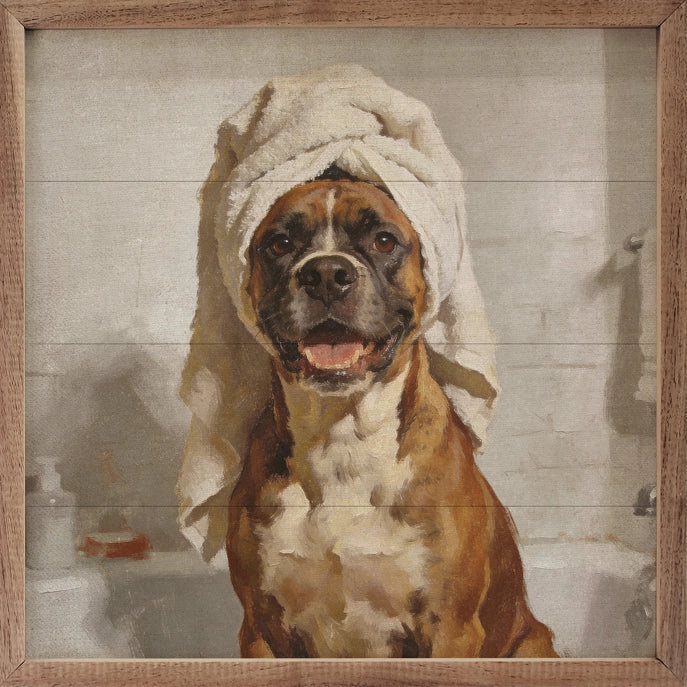 12X12 Bath Time Boxer Framed Art