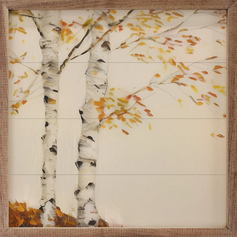 Two Fall Birch Trees