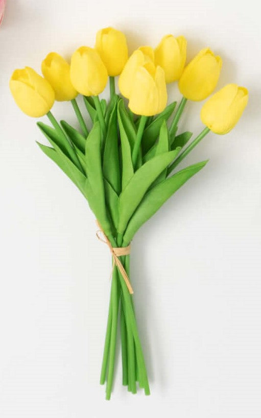 Blooming Tulip Bush Bundle