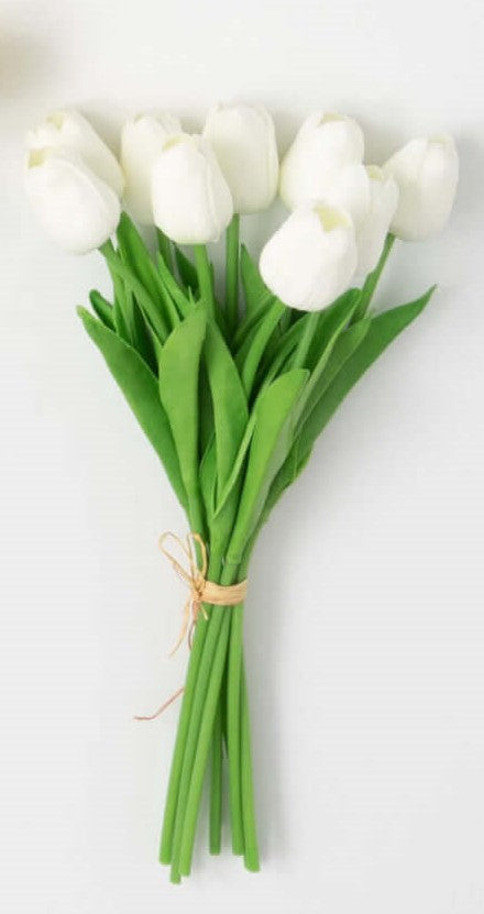 Blooming Tulip Bush Bundle