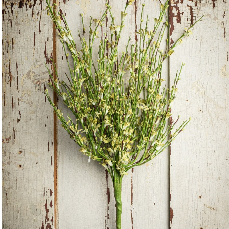 Forsythia Bouquet, 20", SAGE GREEN