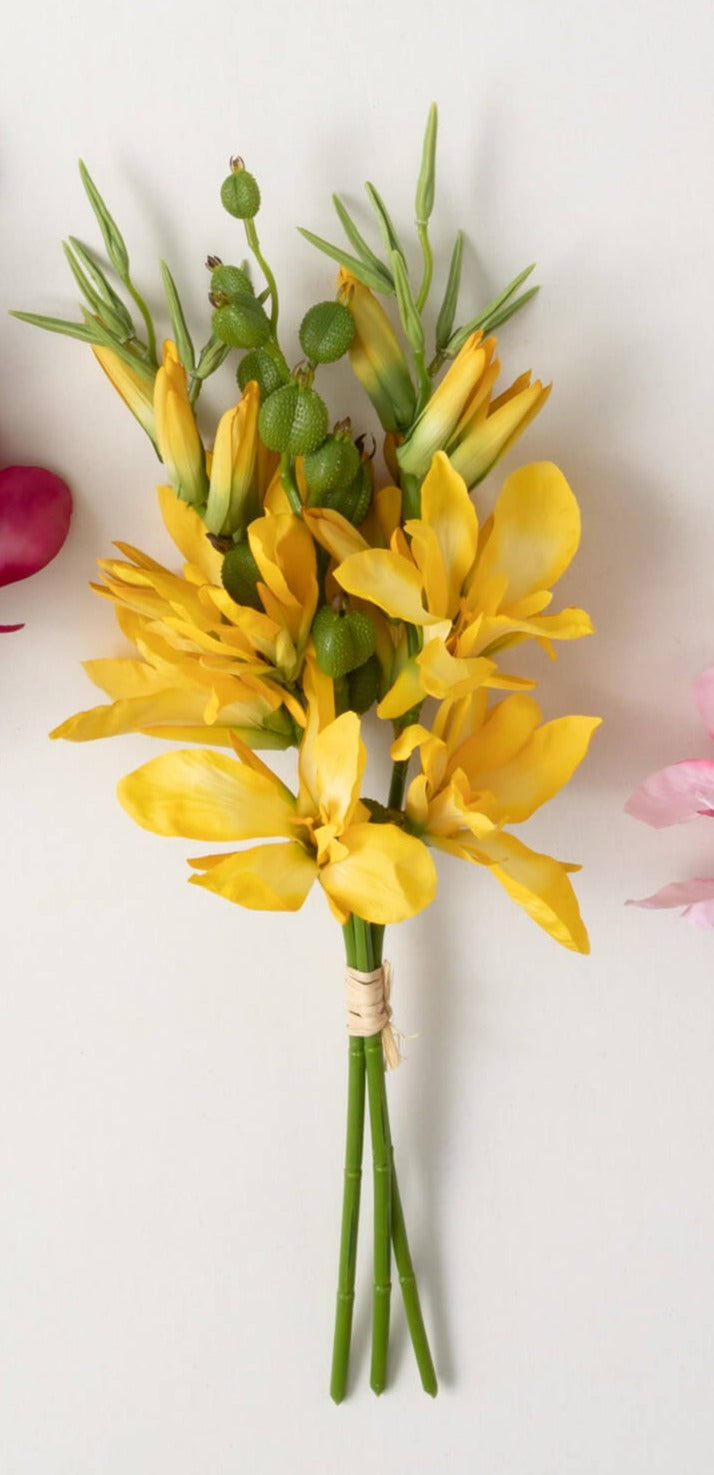 Orchid Bush