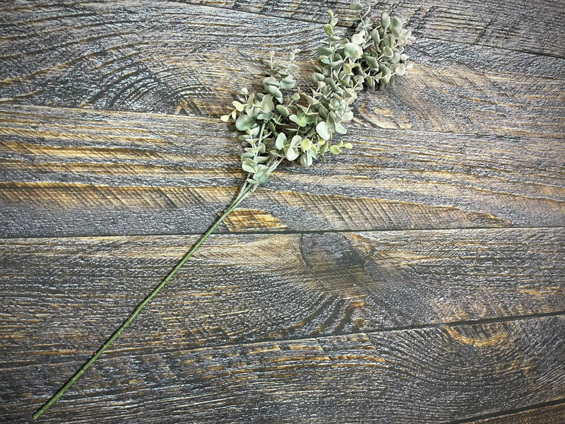 Pre-Loved Eucalyptus Stem