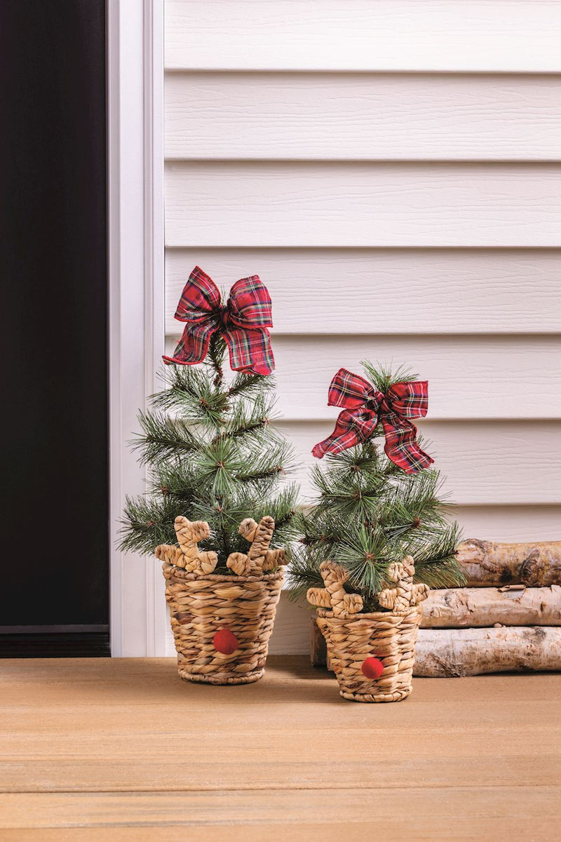 Reindeer Basket Frasier Fir Tree