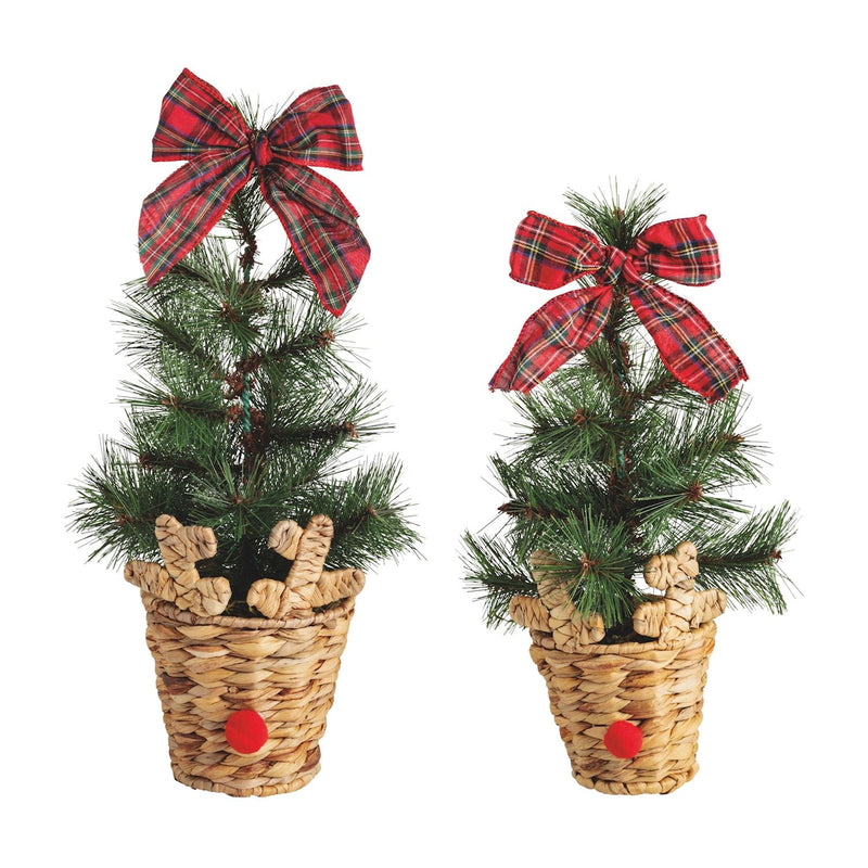 Reindeer Basket Frasier Fir Tree