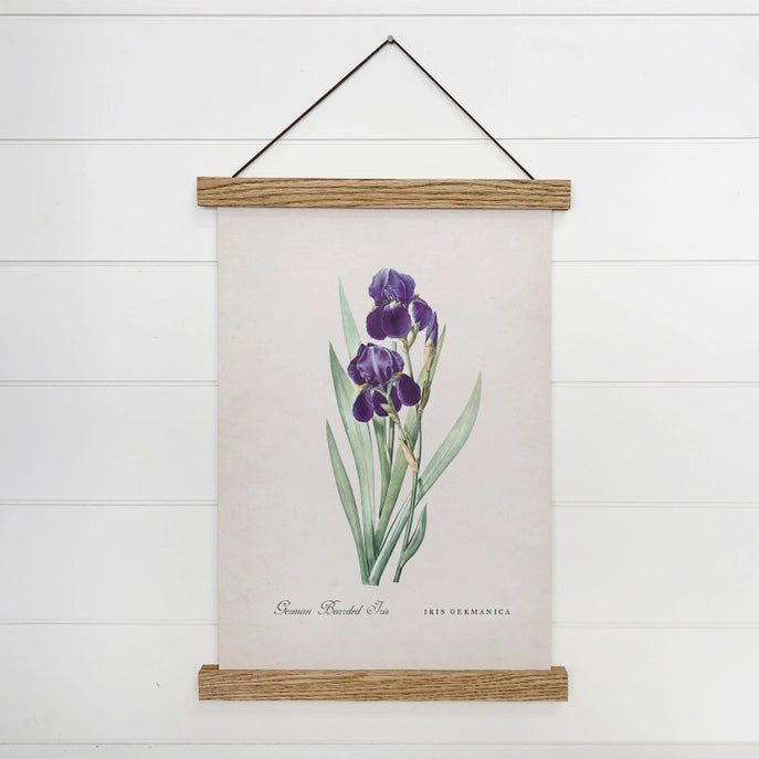 Canvas Art w/ Wood Hanger - German Bearded Iris