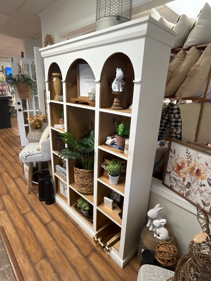 Fancy Arch Bookcase