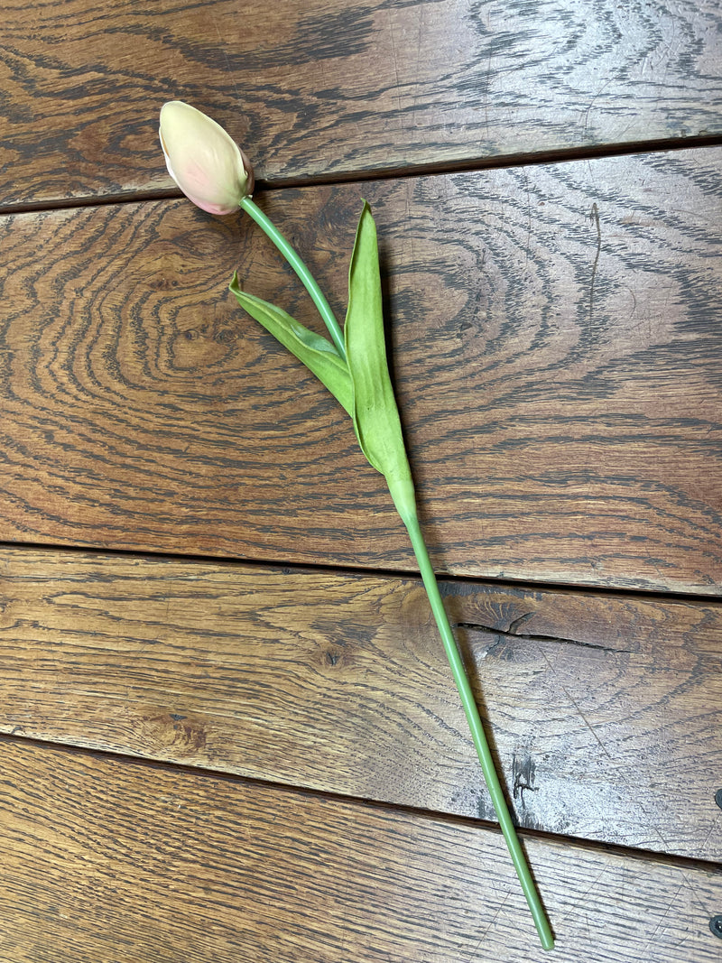 Pre-Loved Tulip Single