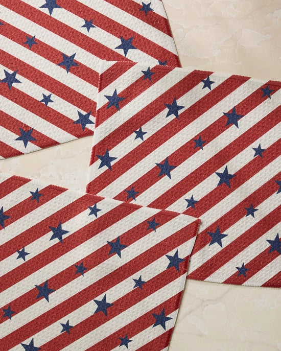 Geometry Dishcloth Set - Patriotic Stripe