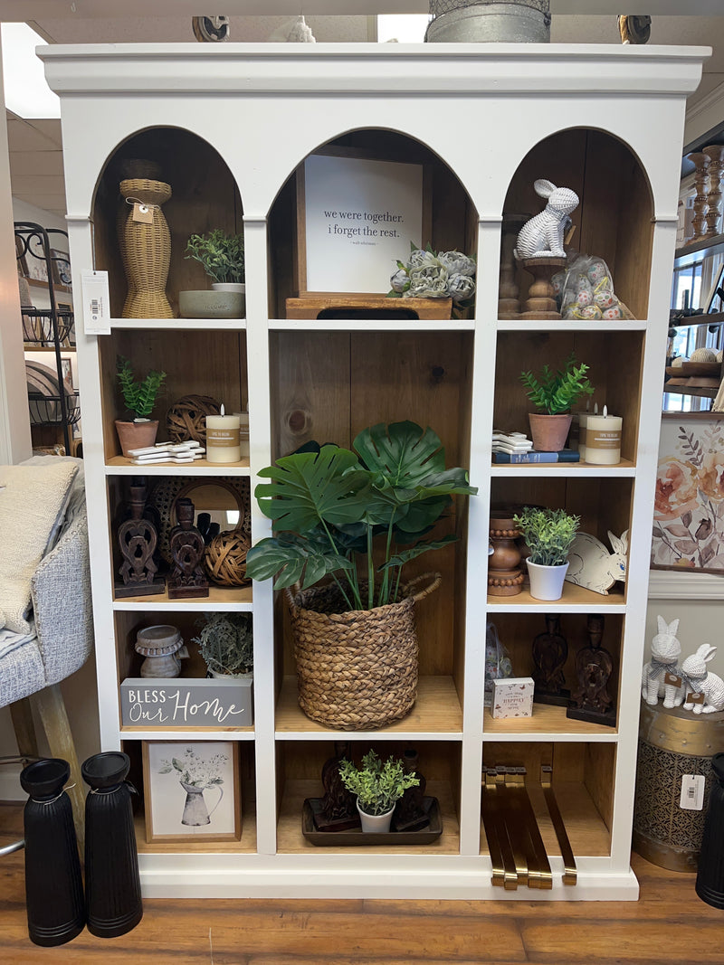 Fancy Arch Bookcase