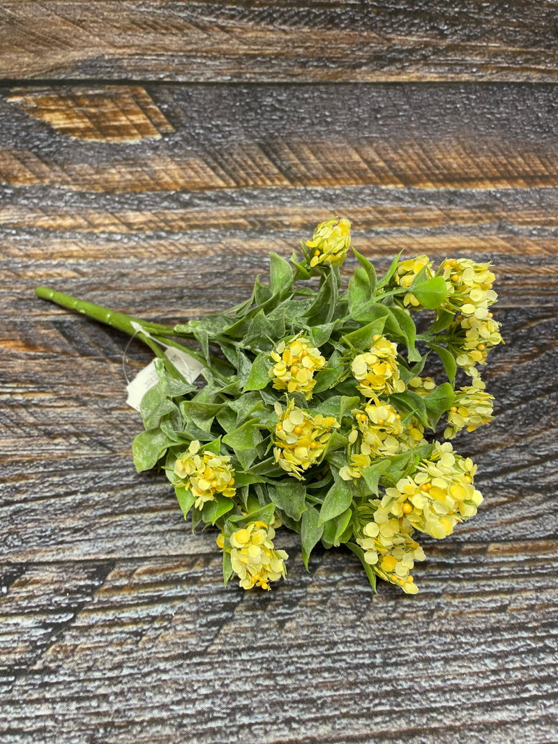 Yellow Late Bloomer Stem