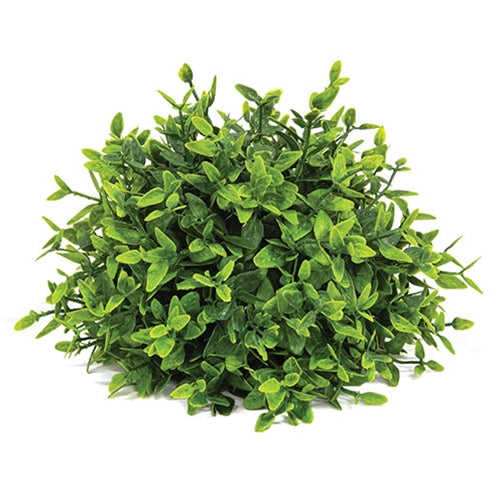 6.5" Lush Green Lemon Beauty Half Sphere