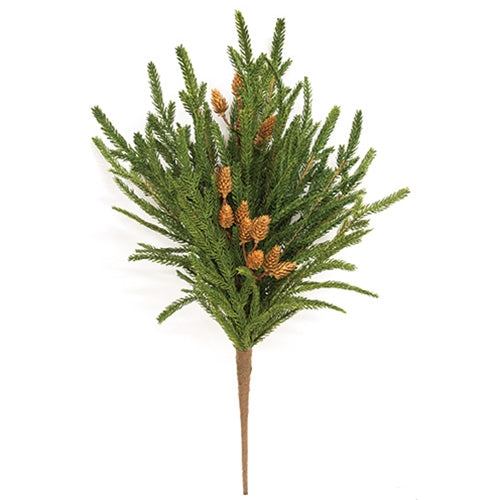 Soft Touch Austrian Pine Bush