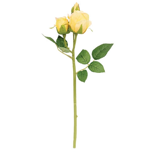 Blooming Soft Yellow Roses Pick