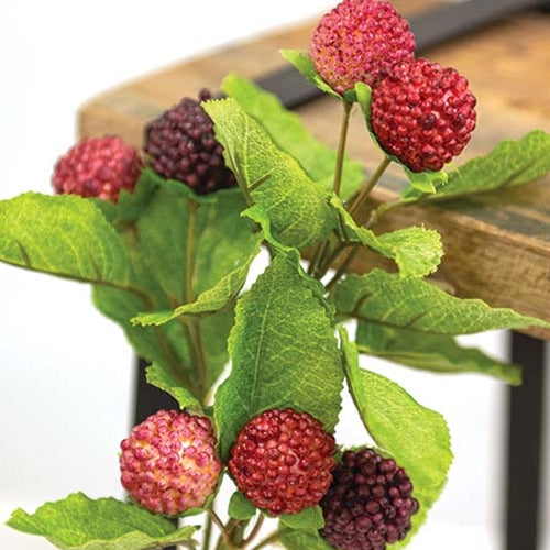 Fresh Raspberries Pick
