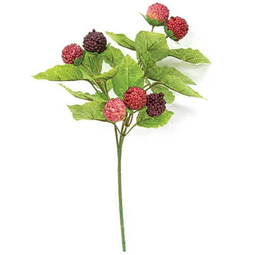 Fresh Raspberries Pick