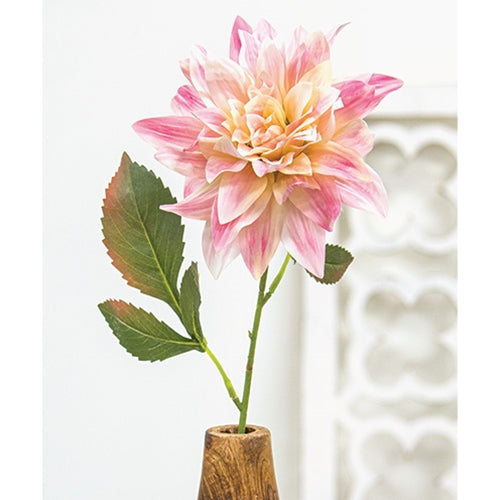Blush Dahlia Stem