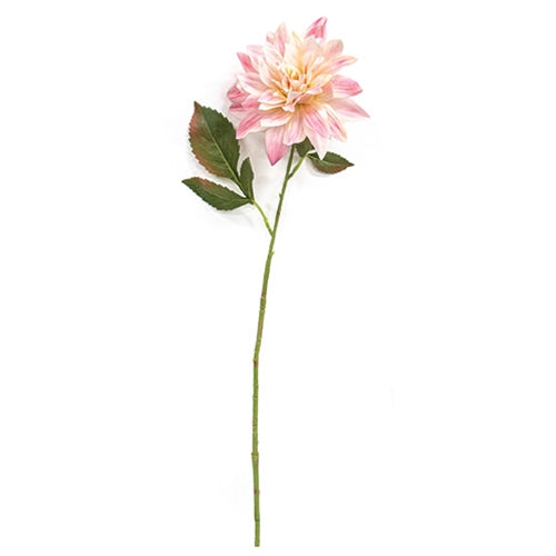 Blush Dahlia Stem